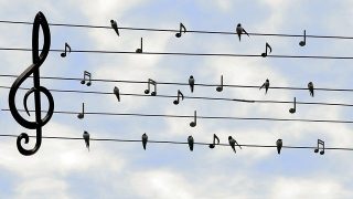 Swiftとは？Appleのアプリ開発言語の特徴を知ろう。※初心者向け
