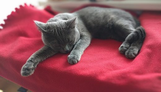 リエンゲージメント広告とは？市場規模が急拡大！休眠ユーザーを呼び戻そう！