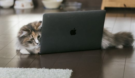 【初心者向け】Shop Payとは？仕組みやメリット・デメリット・導入方法を徹底解説