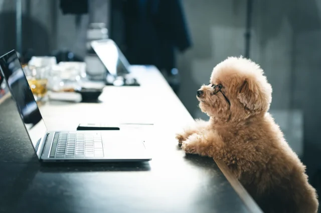 shopifyを見るパソコン