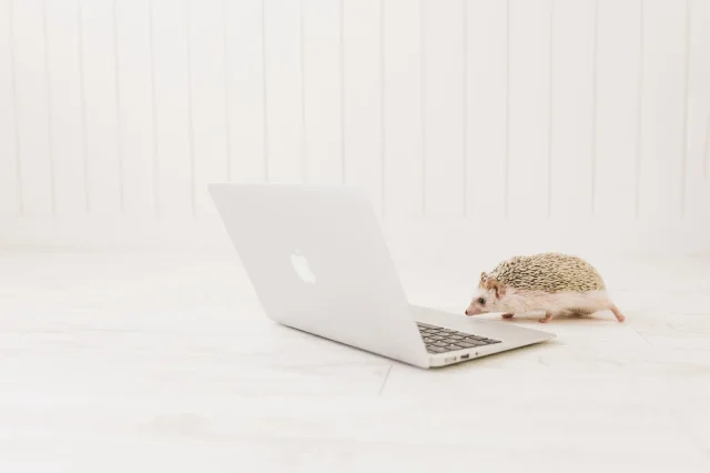 shopifyを見るパソコン