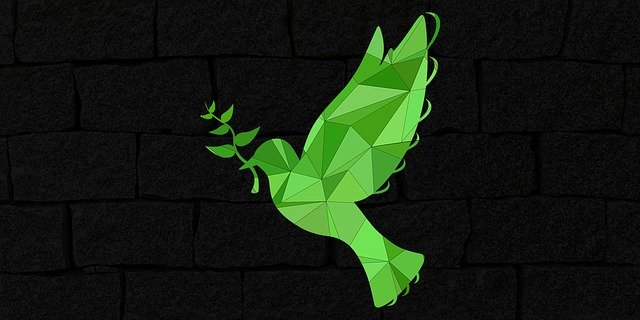 動画広告ネットワークとは